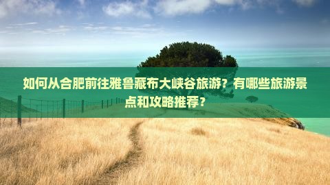 如何从合肥前往雅鲁藏布大峡谷旅游？有哪些旅游景点和攻略推荐？