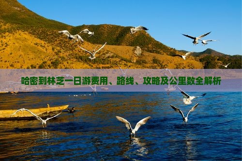 哈密到林芝一日游费用、路线、攻略及公里数全解析