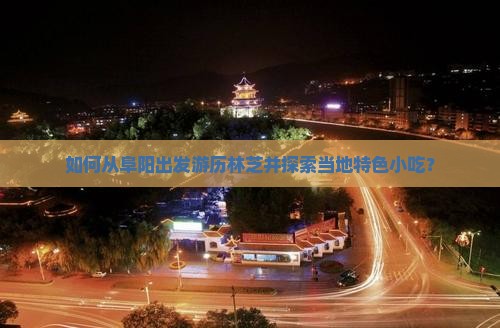 如何从阜阳出发游历林芝并探索当地特色小吃？