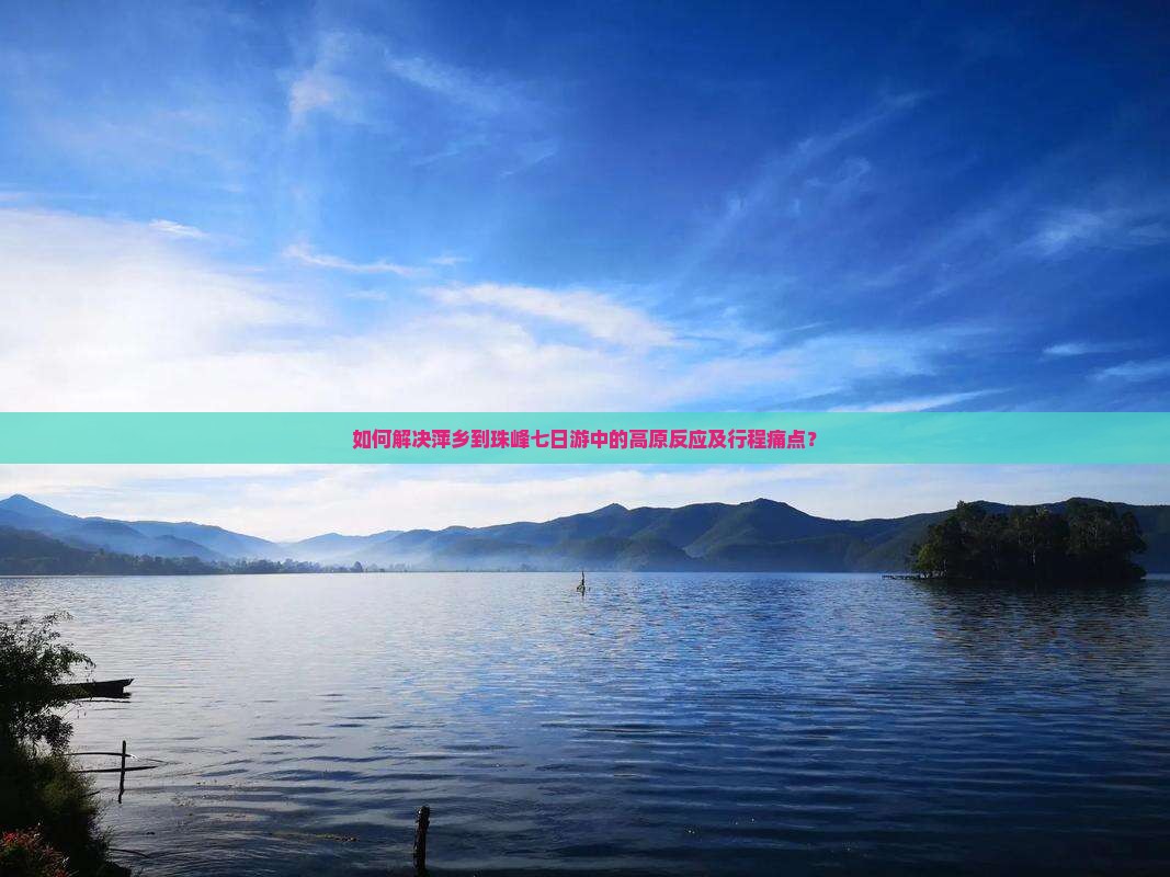 如何解决萍乡到珠峰七日游中的高原反应及行程痛点？