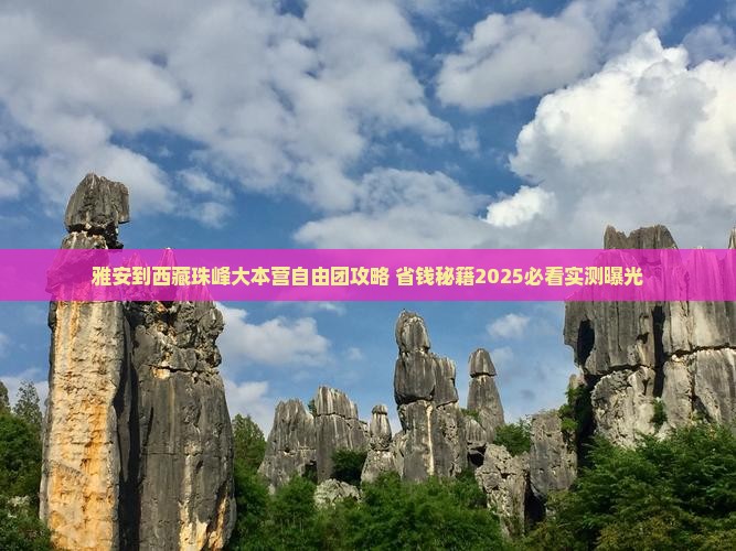 雅安到西藏珠峰大本营自由团