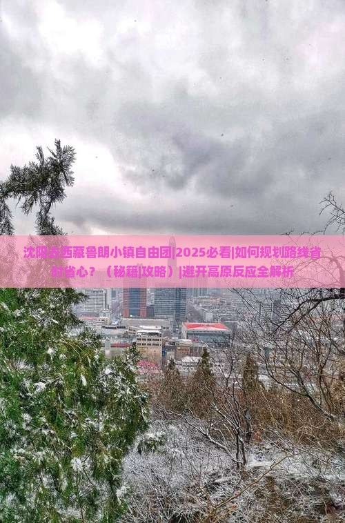 沈阳去西藏鲁朗小镇自由团
