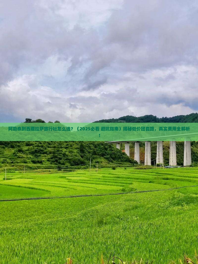 阿勒泰到西藏拉萨旅行社