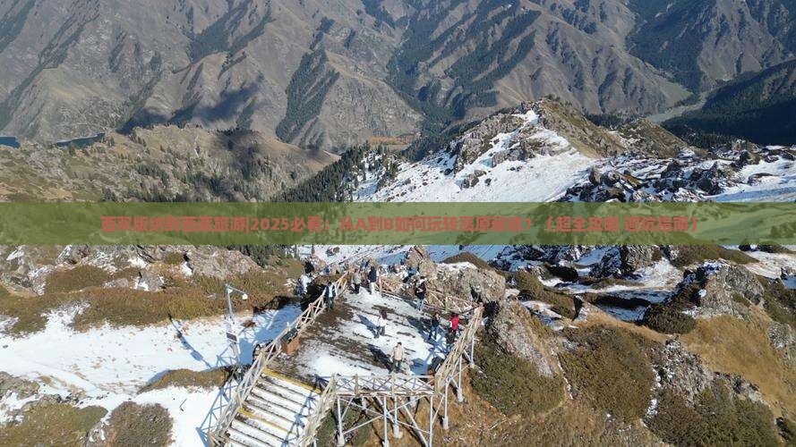 西双版纳到西藏旅游