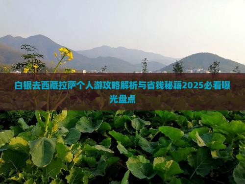 白银去西藏拉萨个人游