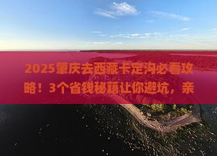 肇庆去西藏卡定沟攻略