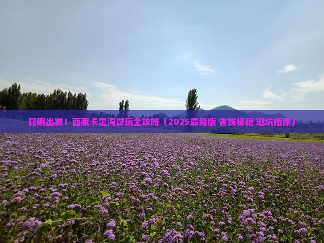 昆明去西藏卡定沟必去地