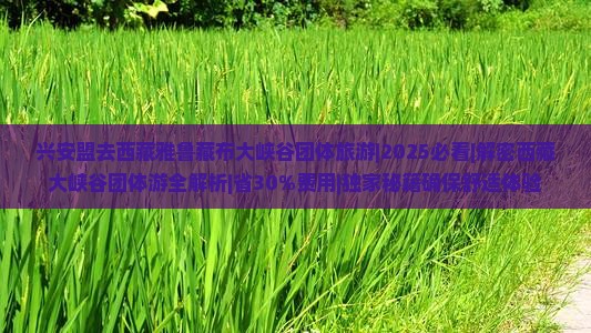 兴安盟去西藏雅鲁藏布大峡谷团体旅游