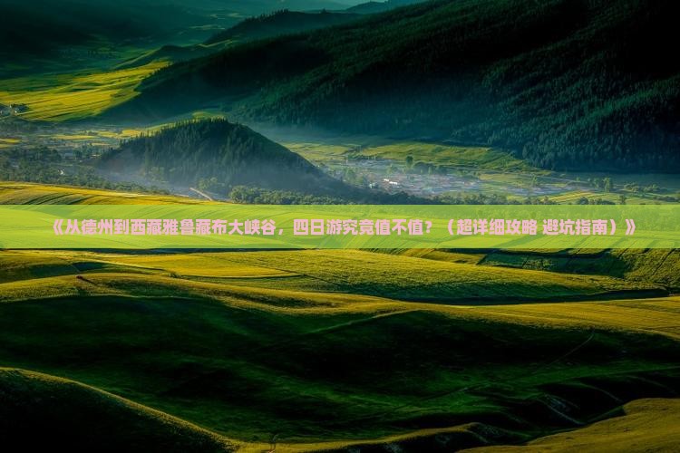 德州去西藏雅鲁藏布大峡谷四日游