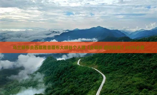 乌兰察布去西藏雅鲁藏布大峡谷个人游