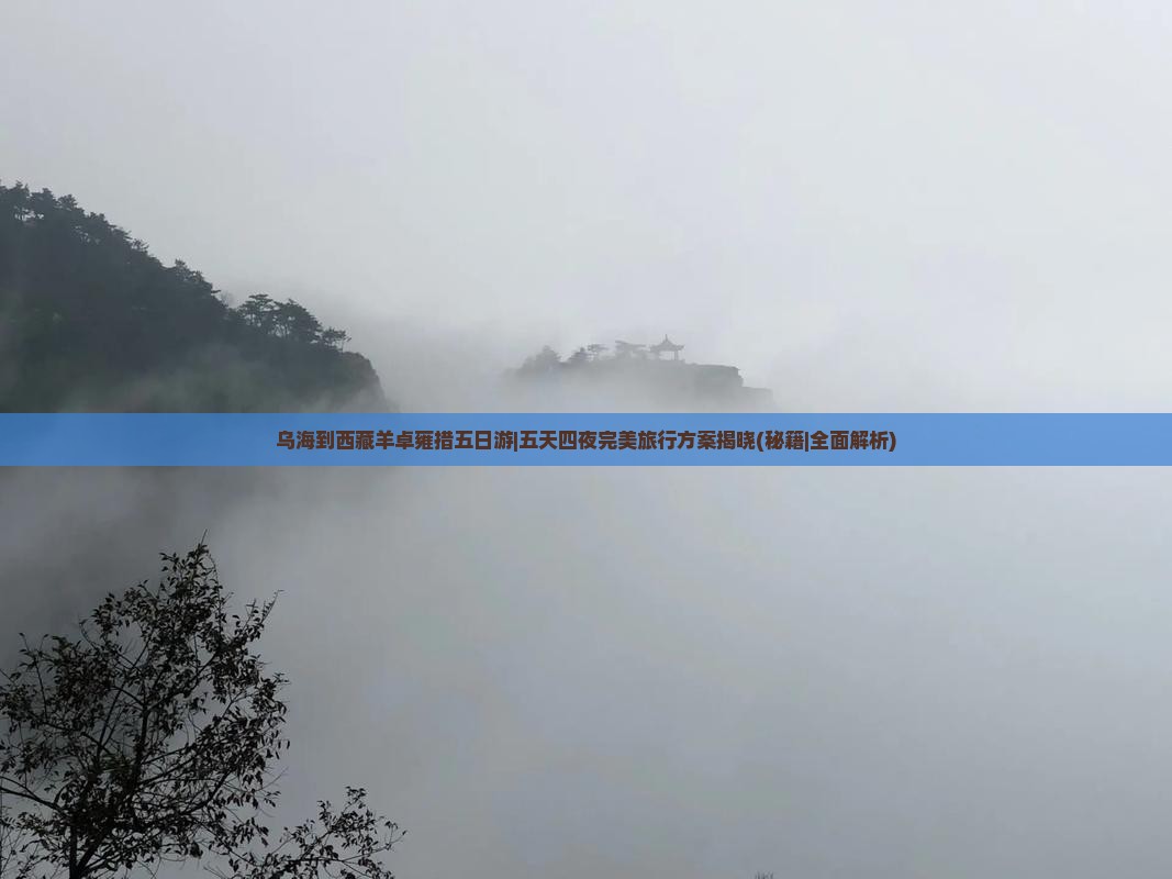 乌海到西藏羊卓雍措五日游