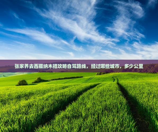 张家界去西藏纳木措攻略
