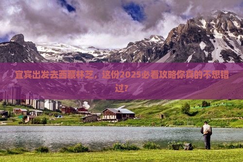 宜宾去西藏林芝攻略