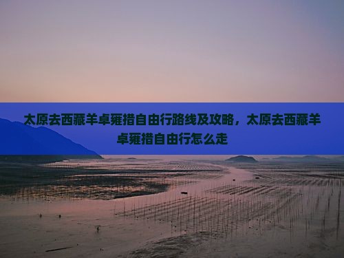 太原去西藏羊卓雍措自由行