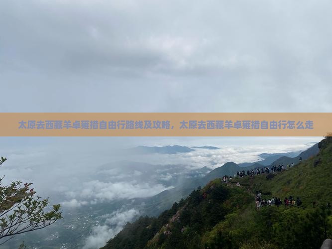 太原去西藏羊卓雍措自由行