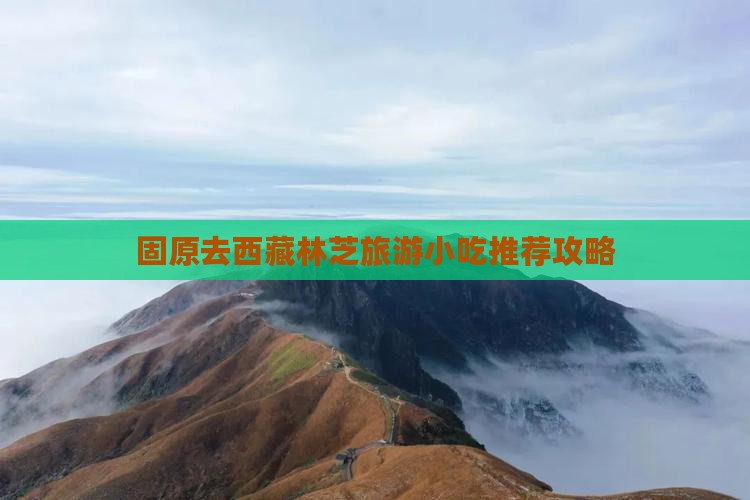 固原去西藏林芝旅游小吃