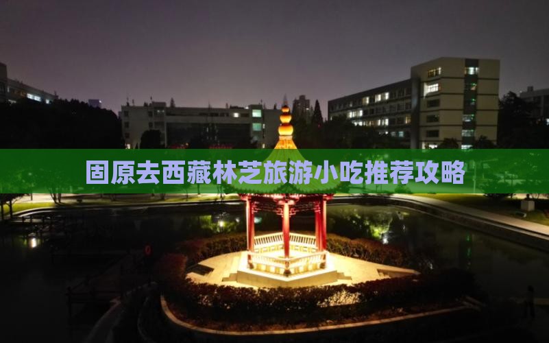 固原去西藏林芝旅游小吃