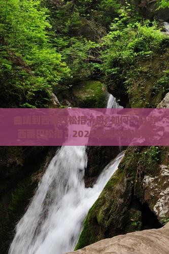 曲靖到西藏巴松措一日