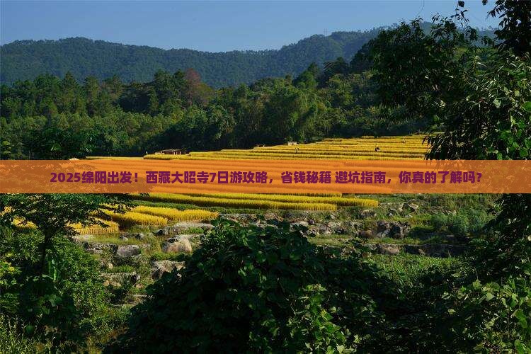 绵阳到西藏大昭寺七日游