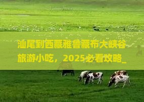 汕尾到西藏雅鲁藏布大峡谷旅游小吃