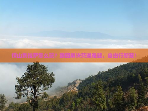 保山到西藏拉萨团体旅游