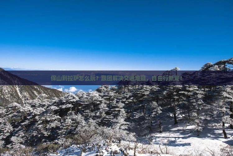 保山到西藏拉萨团体旅游