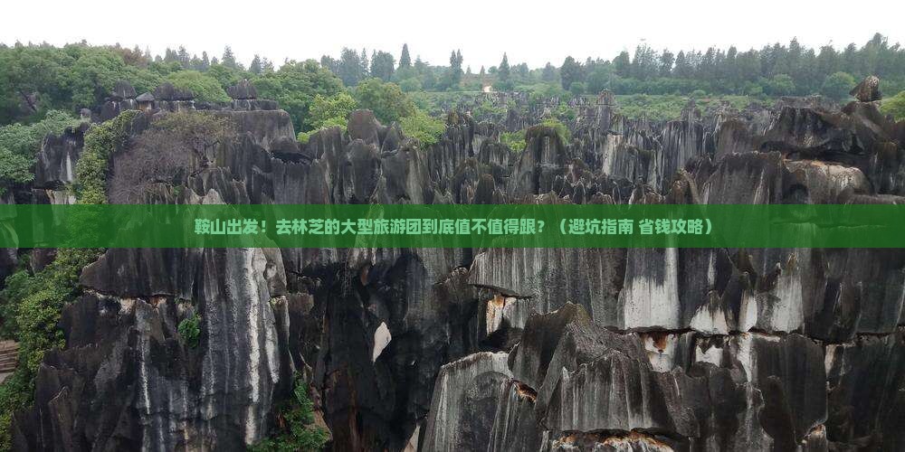 鞍山去西藏林芝大型旅游团