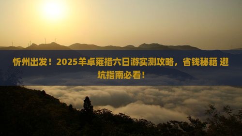 忻州到西藏羊卓雍措六日游