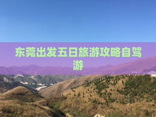 东莞到西藏五日游