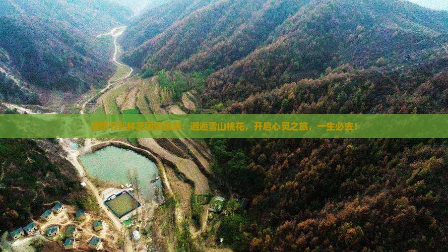 清明节到西藏林芝团体旅游