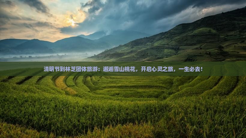 清明节到西藏林芝团体旅游