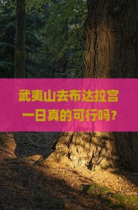 武夷山去西藏布达拉宫一日
