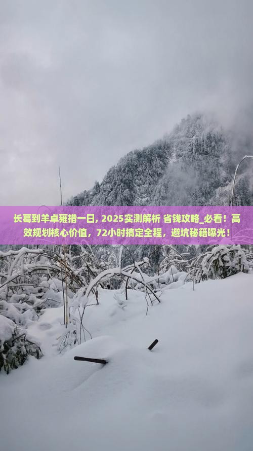 长葛到西藏羊卓雍措一日