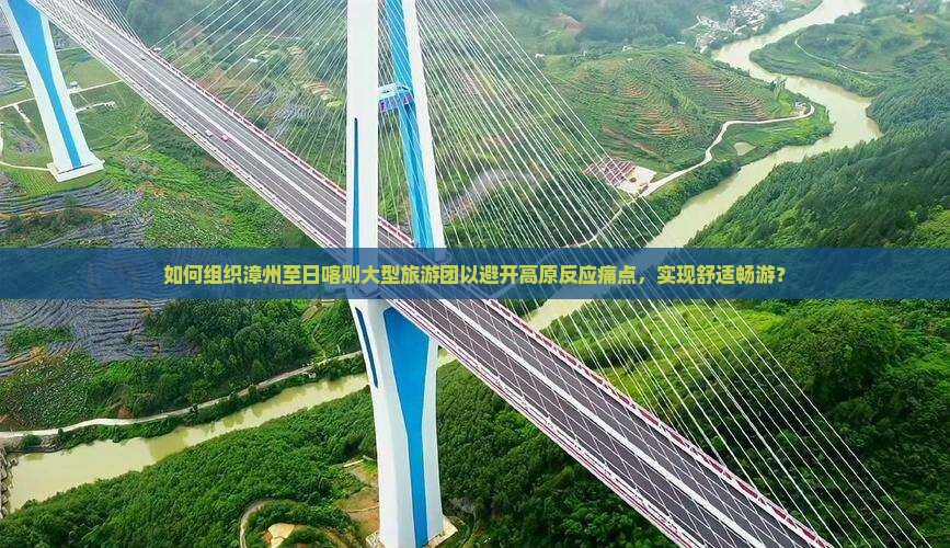 如何组织漳州至日喀则大型旅游团以避开高原反应痛点，实现舒适畅游？