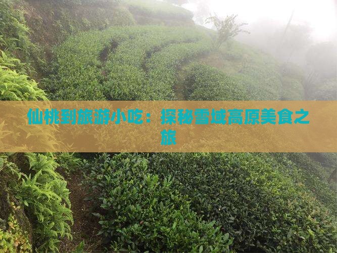 仙桃到旅游小吃：探秘雪域高原美食之旅