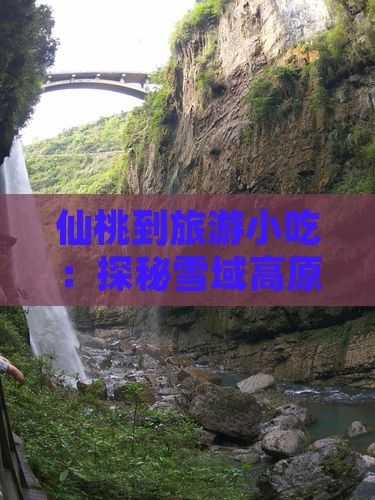 仙桃到旅游小吃：探秘雪域高原美食之旅