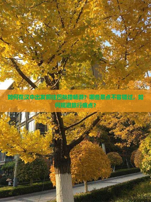 如何在汉中出发前往巴松措畅游？哪些景点不容错过，如何规避旅行痛点？