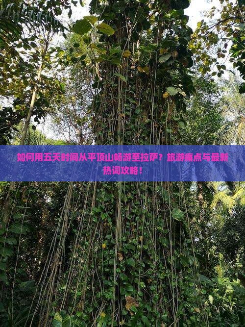 如何用五天时间从平顶山畅游至拉萨？旅游痛点与最新热词攻略！