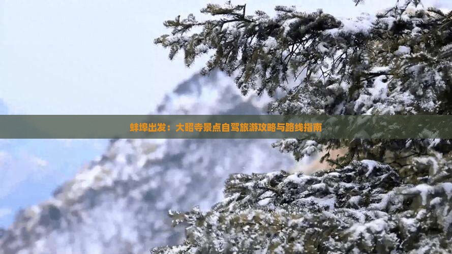 蚌埠出发：大昭寺景点自驾旅游攻略与路线指南