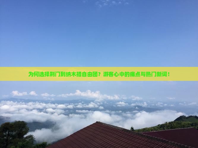 为何选择荆门到纳木措自由团？游客心中的痛点与热门新词！