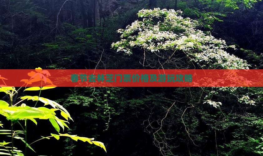 春节去林芝门票价格及游玩攻略