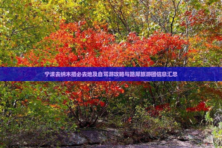 宁波去纳木措必去地及自驾游攻略与路犀旅游团信息汇总