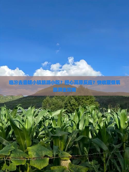 临汾去鲁朗小镇旅游小吃？担心高原反应？快收藏低氧旅游全攻略