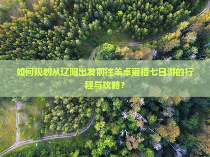 如何规划从辽阳出发前往羊卓雍措七日游的行程与攻略？