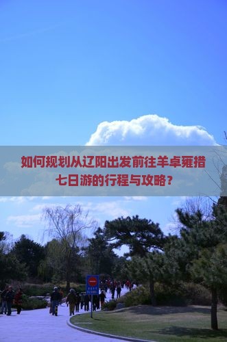 如何规划从辽阳出发前往羊卓雍措七日游的行程与攻略？