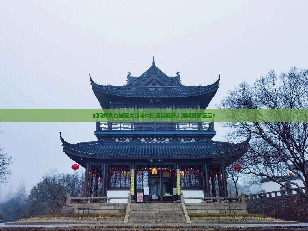 如何规划白城至大昭寺六日游以避开人潮和高原反应？