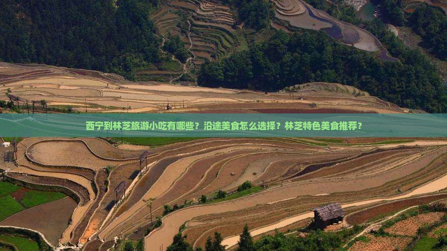 西宁到林芝旅游小吃有哪些？沿途美食怎么选择？林芝特色美食推荐？