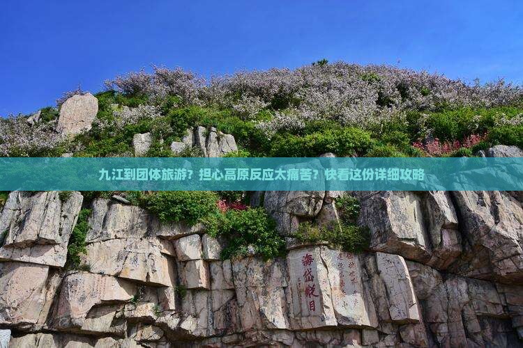 九江到团体旅游？担心高原反应太痛苦？快看这份详细攻略
