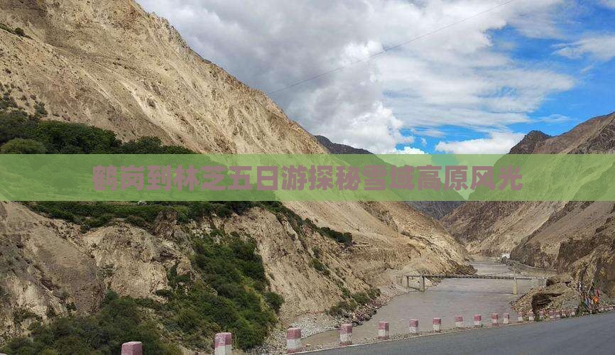 鹤岗到林芝五日游探秘雪域高原风光