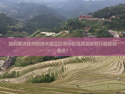如何解决抚州到纳木措三日游中的高原反应和行程规划痛点？